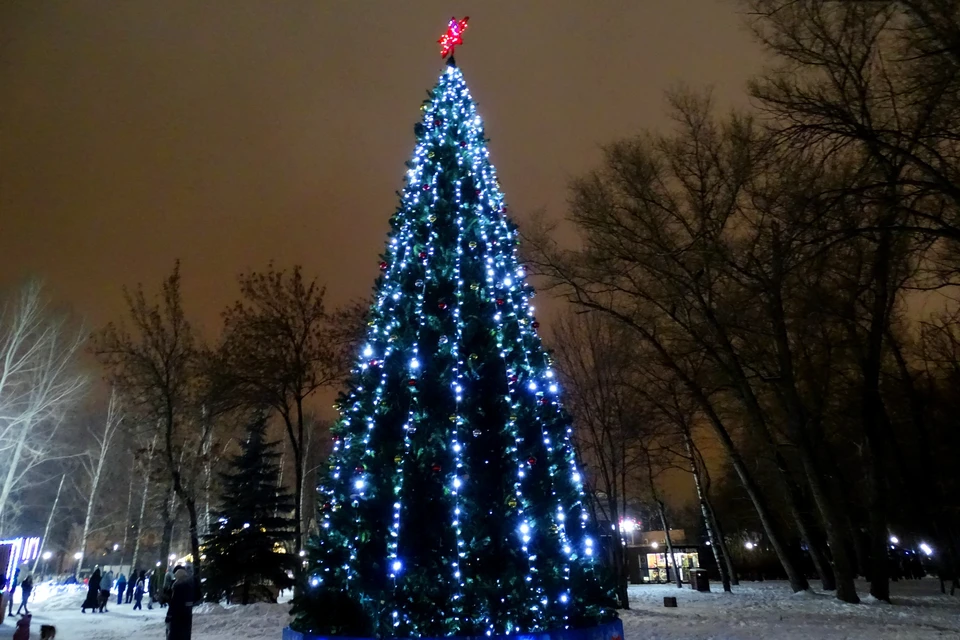 В Липецке наряжают елки к Новому году