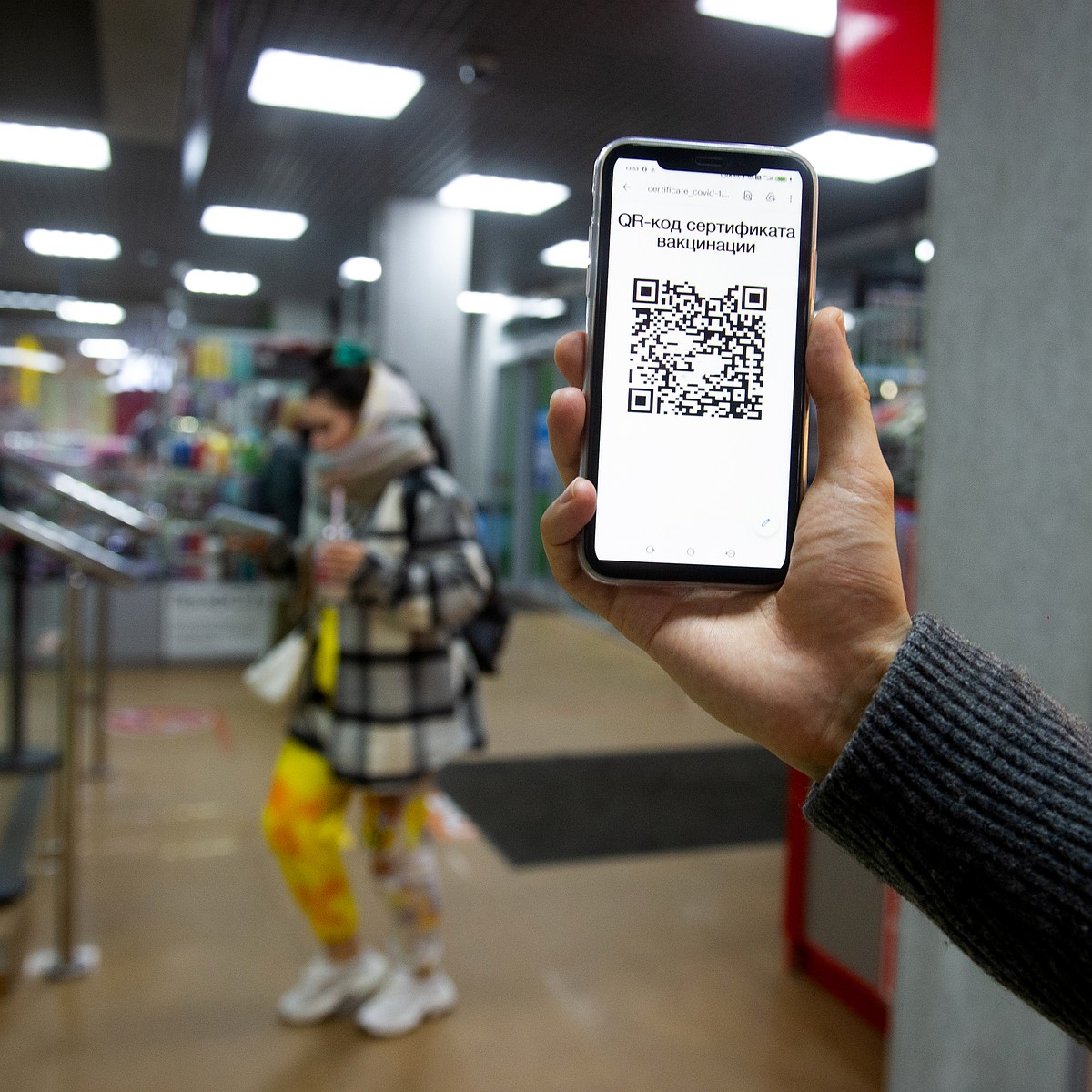 Отменить QR-коды предложил глава ТПП Ставропольского края - KP.RU