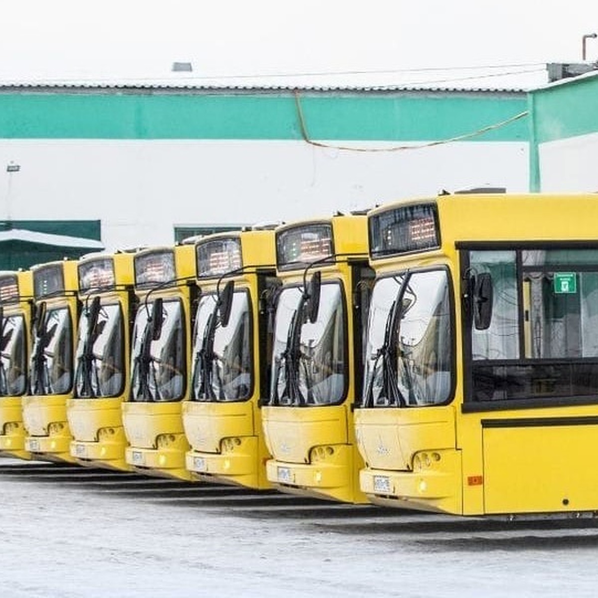 В Сургуте кондуктор, выгнавший подростка с ДЦП из автобуса, отстранен от  работы - KP.RU