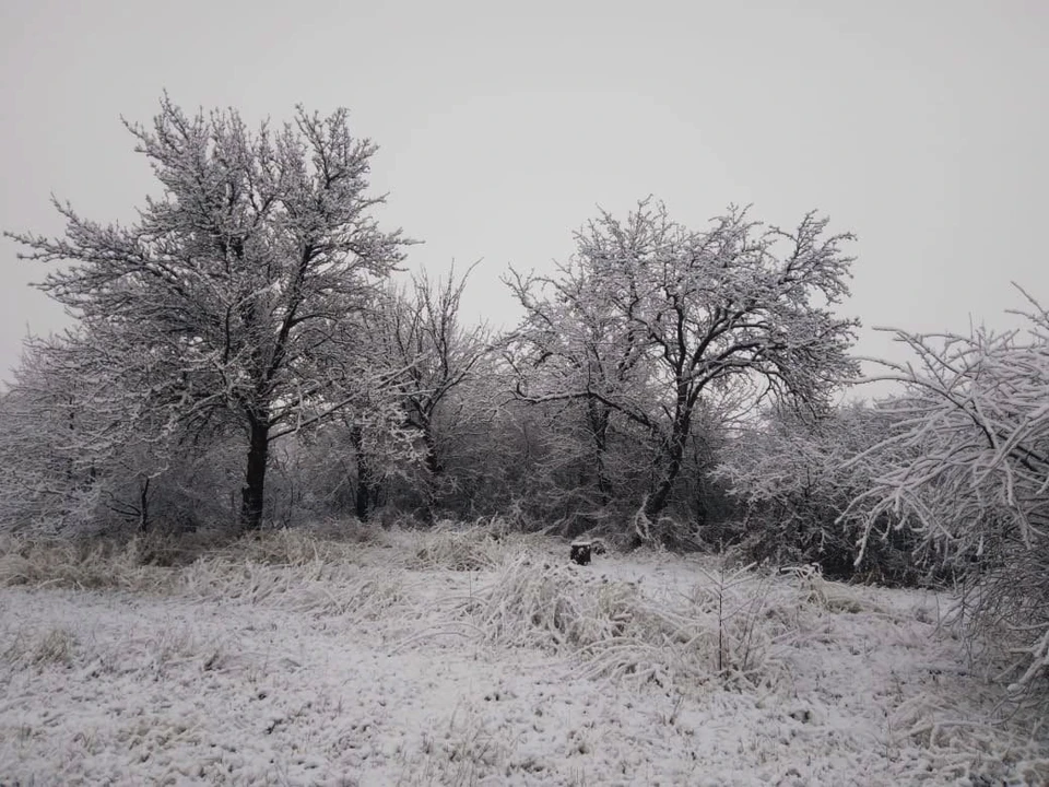 В Ровеньской район Белгородской области уже пришла зима. фото: Александр Гребеник