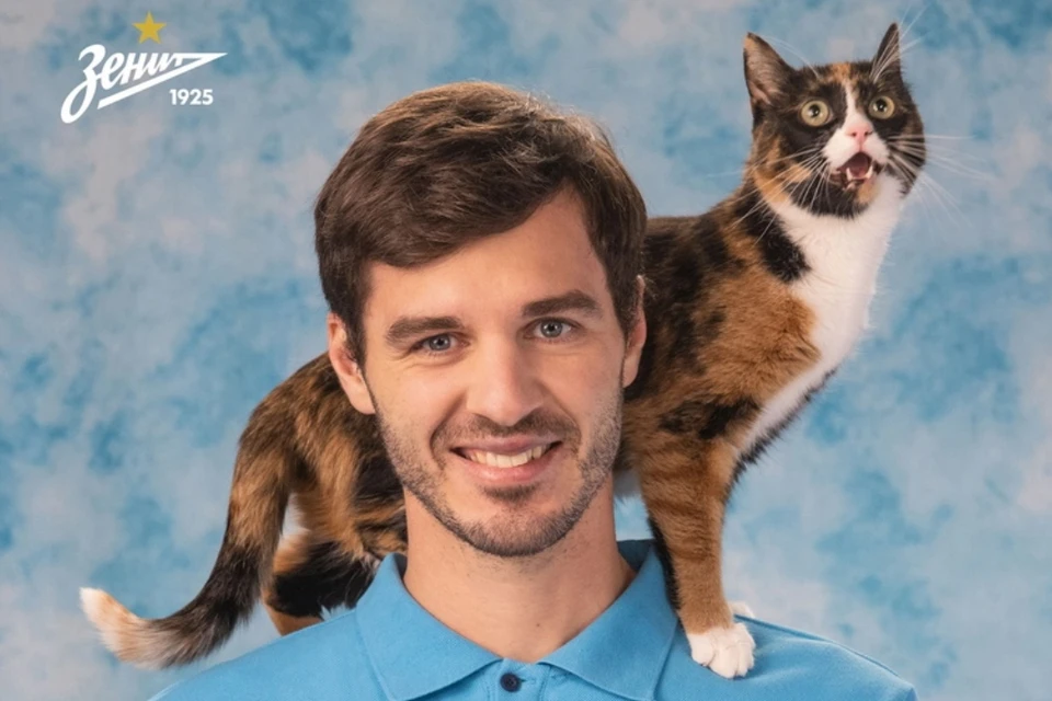 Зенитовцы сфотографировались с кошками из приюта.
