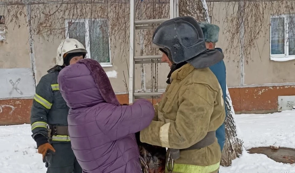 Спасатели вызволили котенка, на несколько дней застрявшего на дереве