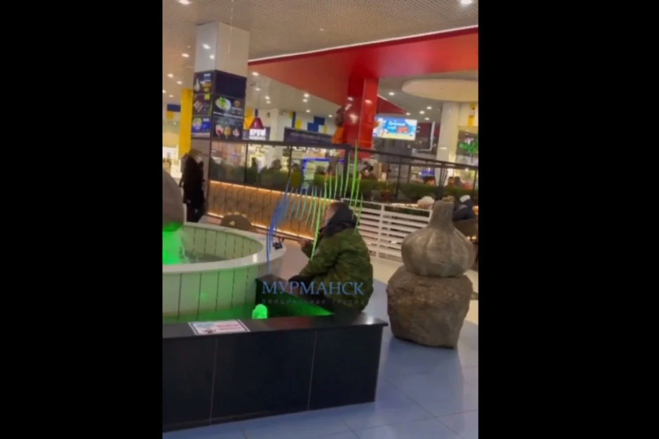 Ловись рыбка большая и маленькая, пусть даже и в фонтане. Фото: скрин видео vk.com/murmanskgroup