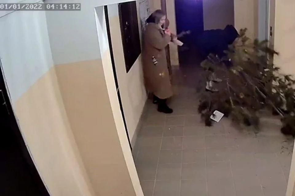 Девушки ловко затащили огромную ель в лифт. Фото: стоп-кадр с камеры видеонаблюдения.