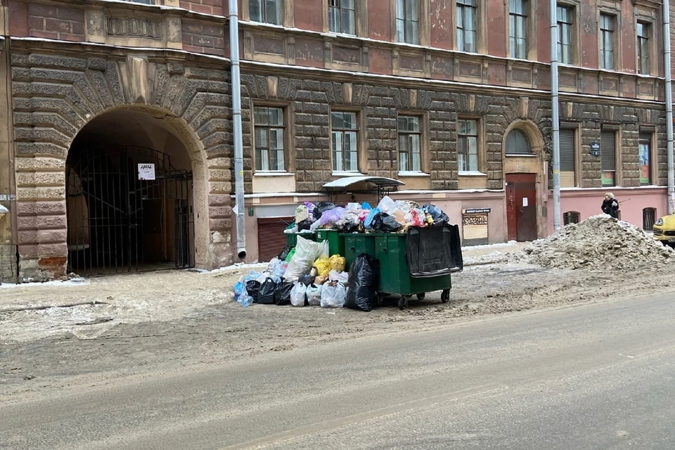 Петербуржцы массово жалуются на замусоренные дворы после 1 января. Фото: vk.com/mytndvor