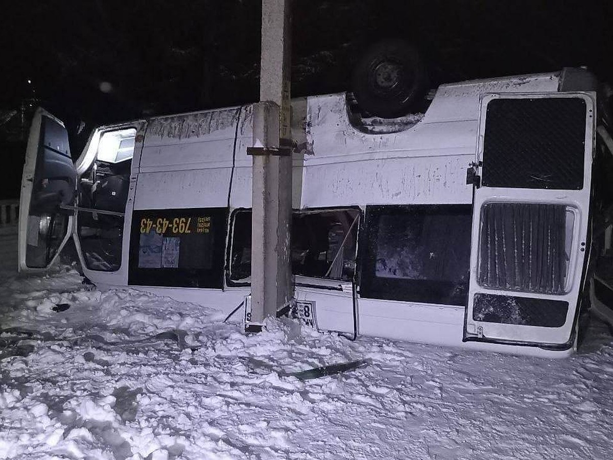 Маршрутка опрокинулась в кювет в Белыничском районе: среди 6 пострадавших 3  детей - KP.RU