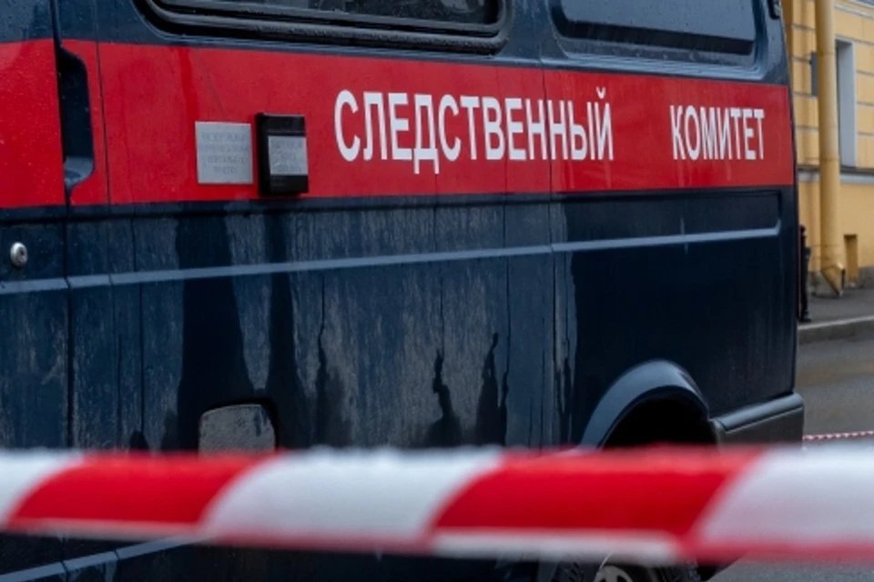 Следователи проводят проверку