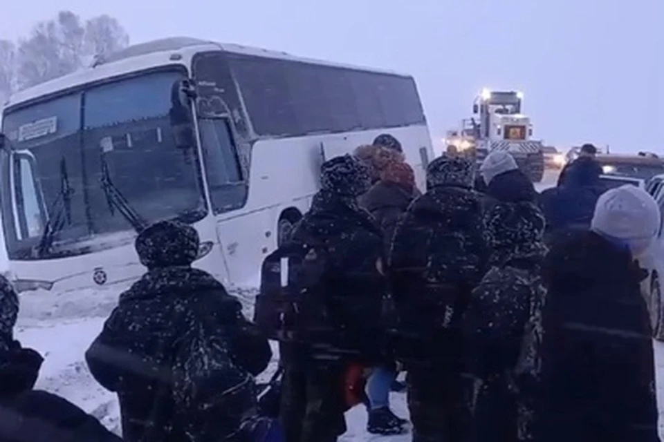 Никто в ДТП не пострадал. Фото: кадр из видео