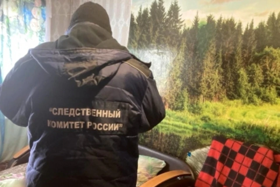 Квартира, где обнаружили тела отца и сына, была заперта изнутри. Фото: СУ СКР по Кировской области