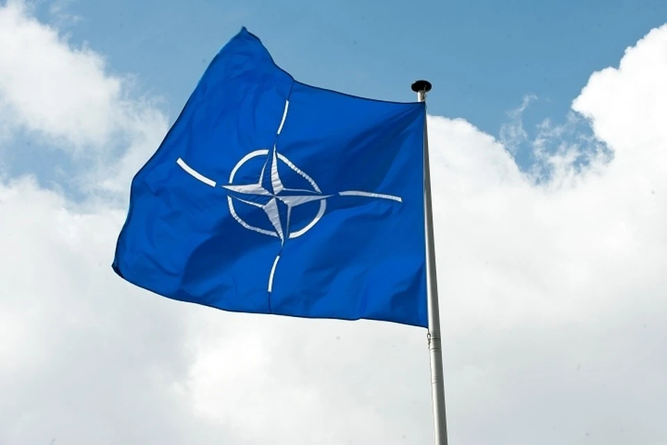 Правительство Германии заявило, что вступление Украины в НАТО сейчас не обсуждается