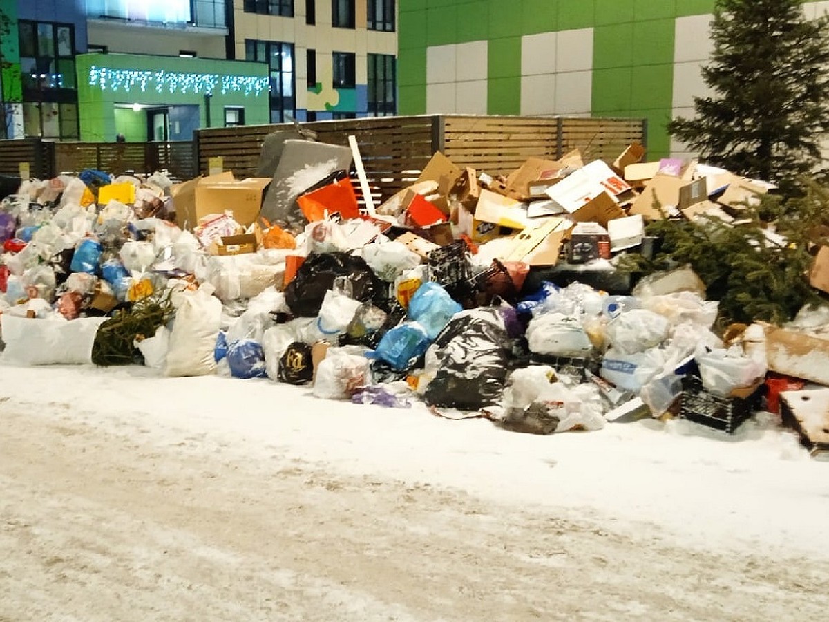 Огромные крысы появились в домах Невского района из-за гор невывезенного  мусора - KP.RU