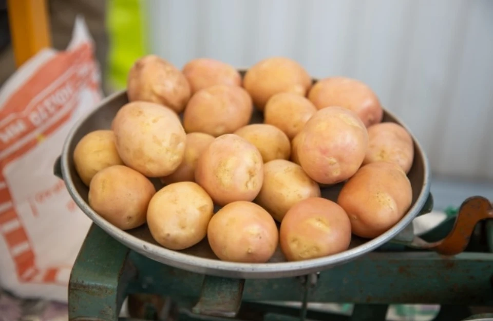По последним данным Крымстата, стоимость картофеля за килограмм составляет 55 рублей