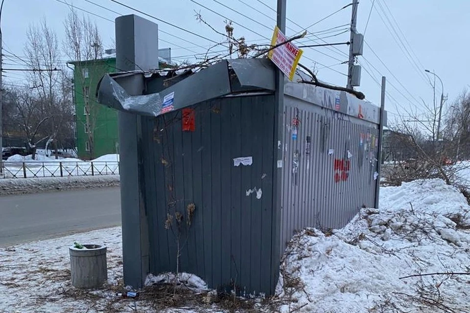 Деревья повредили остановку. Фото: Новосибирская служба эвакуации "АСТ-54"