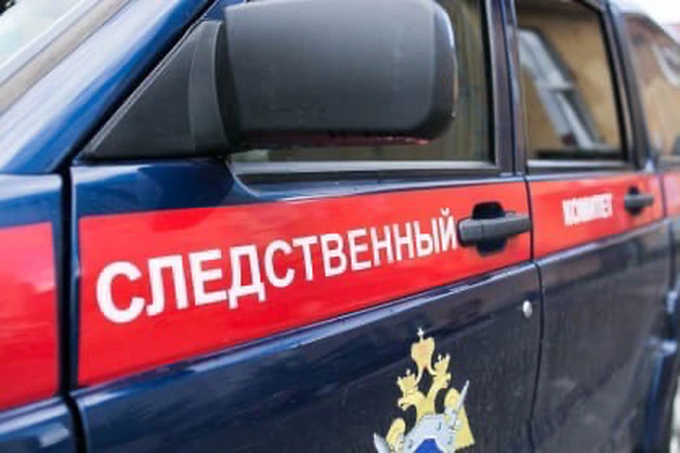 СК и прокуратура проверят информацию о пропаже ребёнка из детского сада в Смоленске. Фото: пресс-служба СУ СКР по Смоленской области.