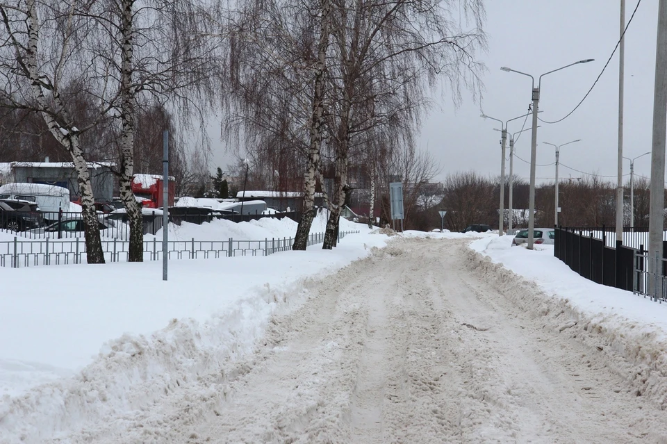 Глава администрации Елена Сорокина проверила, как убирают снег на окраинах Рязани. Фото: vk.com/glavarzn.