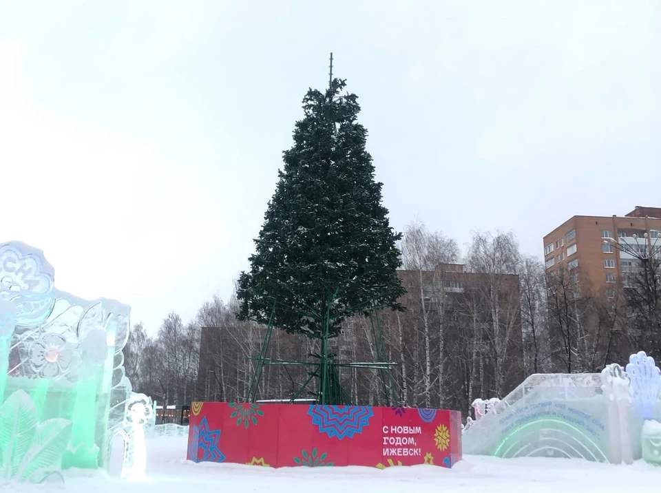 На Центральной площади Ижевска начался демонтаж главной городской елки. Фото: Алена Селезнева