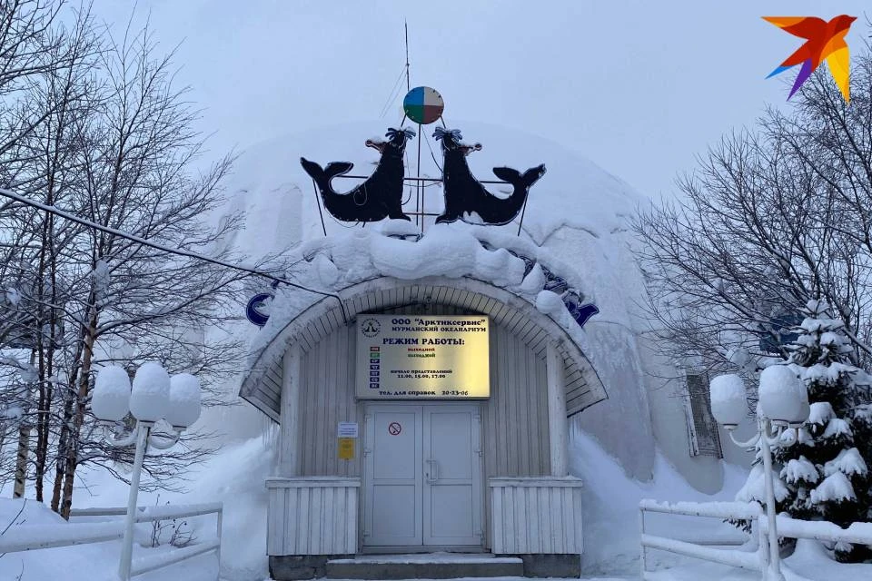 Мурманский океанариум закрыт с 1 января.