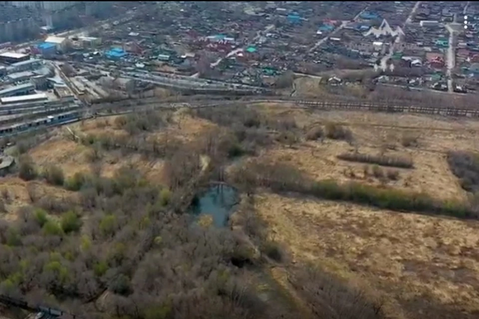 «Когда-то здесь были сады»: определить судьбу питомника Лукашова предлагают хабаровчанам. Фото: скриншот с видео.