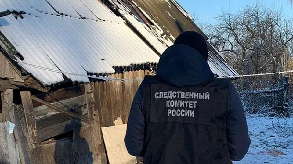 В Тульской области ревнивец убил сожительницу черенком от лопаты