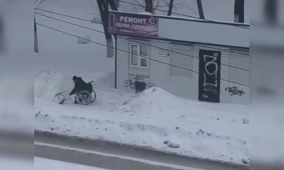 Антон Попов каждый день сам расчищает от снега территорию около своего павильона. Фото: скрин видео