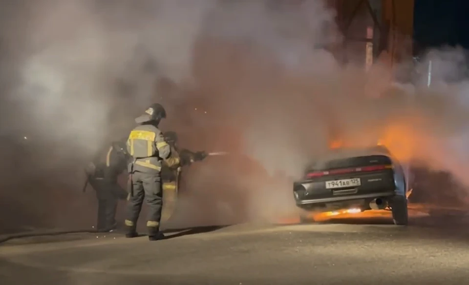 Пожарные прибыли за 3-4 минуты. Фото: принтскрин видео, shtygailo