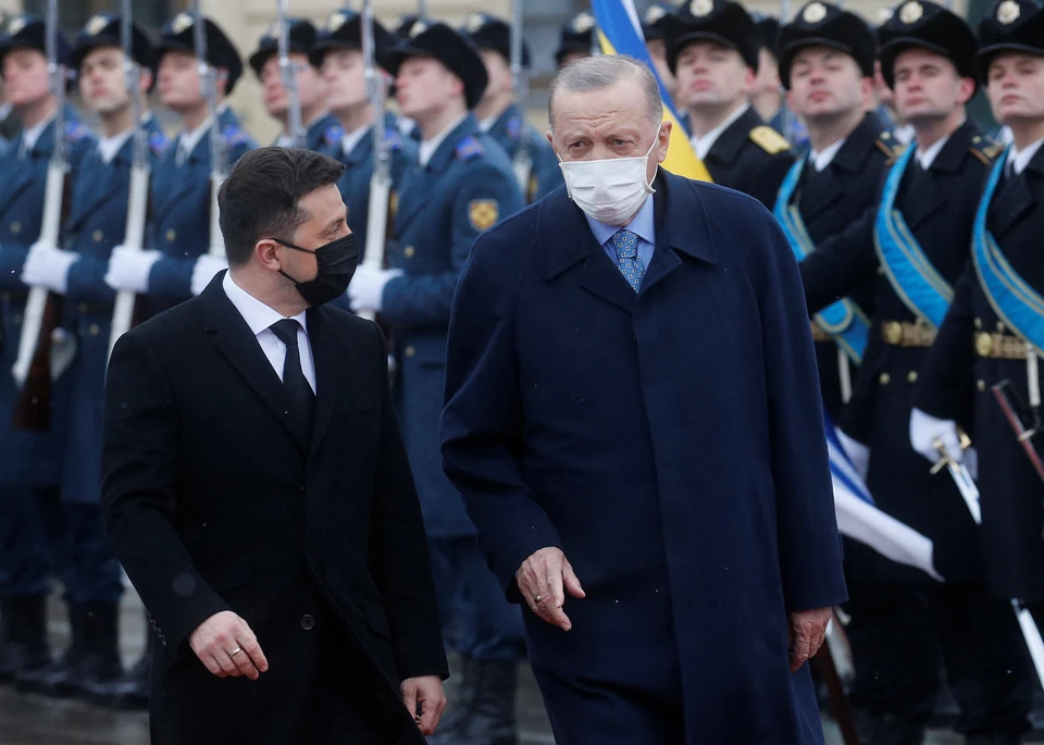 Владимир Зеленский и Реджеп Тайип Эрдоган