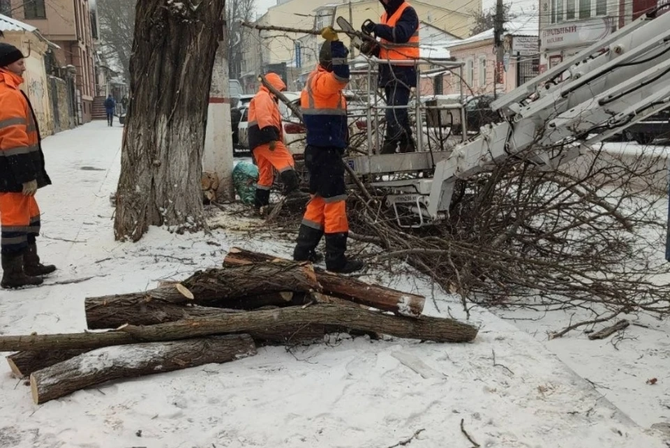 В работах по обрезке деревьев были задействованы около 30 человек. Фото: simadm.ru