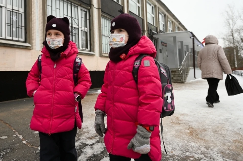 Дети вылечились от ОРВИ и вернулись в школу