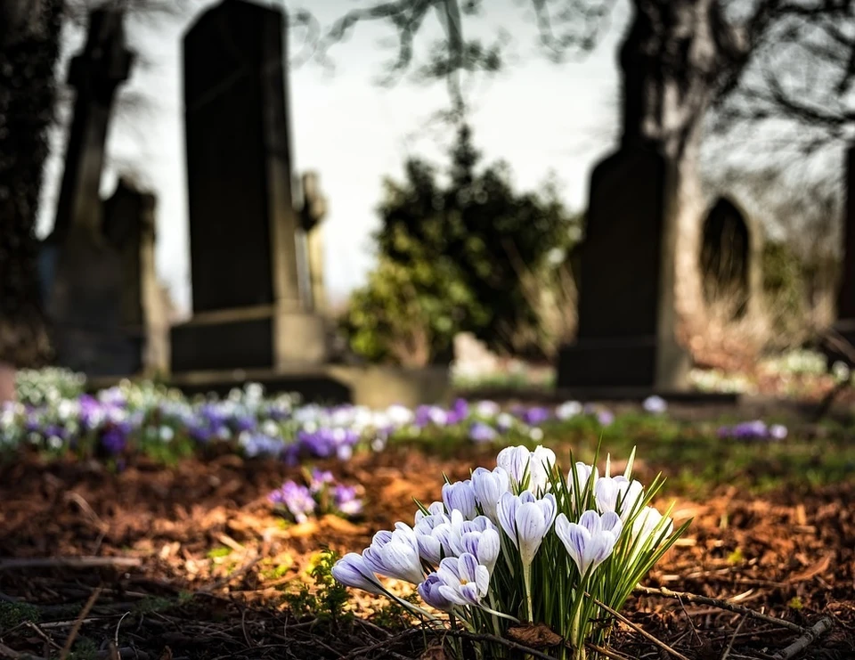 В областной столице за год скончались 7223 человека. Фото: pixabay.com