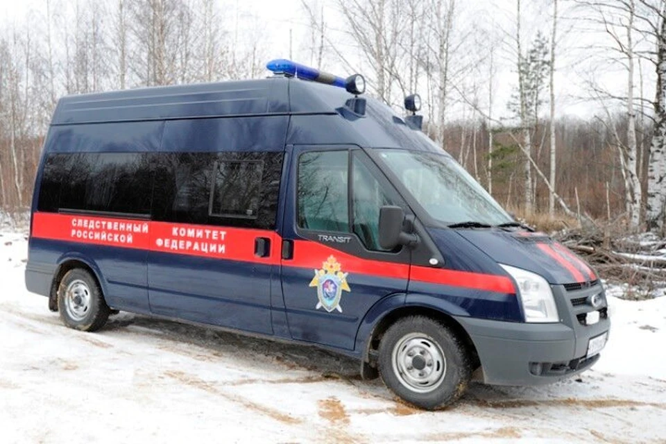 Следователи задержали подозреваемого, его ждет суд.