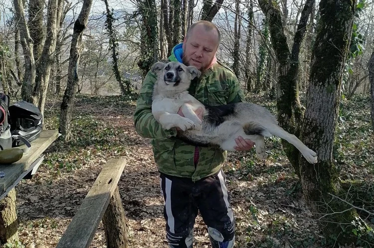 Собаку привязали к дереву и оставили умирать под Новороссийском