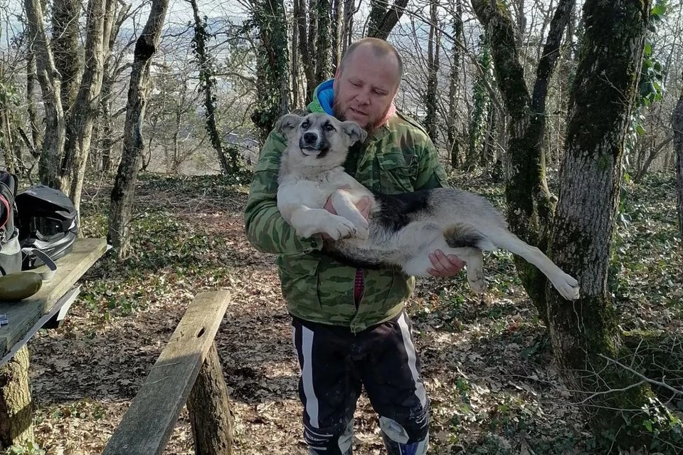 Бедолагу вызволили мужчины, которые случайно заметили пса в лесу. Фото: instagram.com/ivan519_