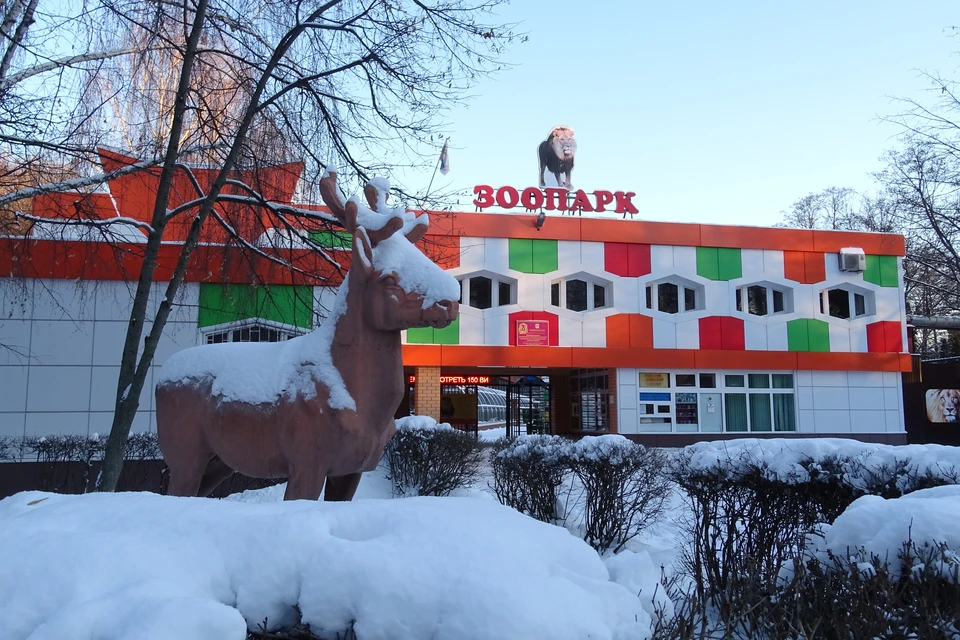 В зоопарке Липецка 31 пара животных отмечает День влюбленных