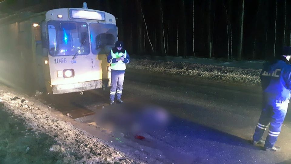 18 февраля в результате наезда троллейбуса погиб 59-летний горожанин. Фото: 62.мвд.рф