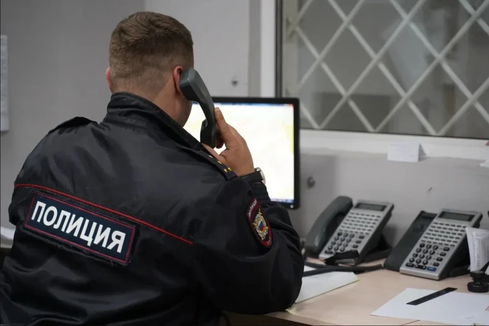 К поискам подключились правоохранители, которые организовали проверку по факту пропажи девушки.