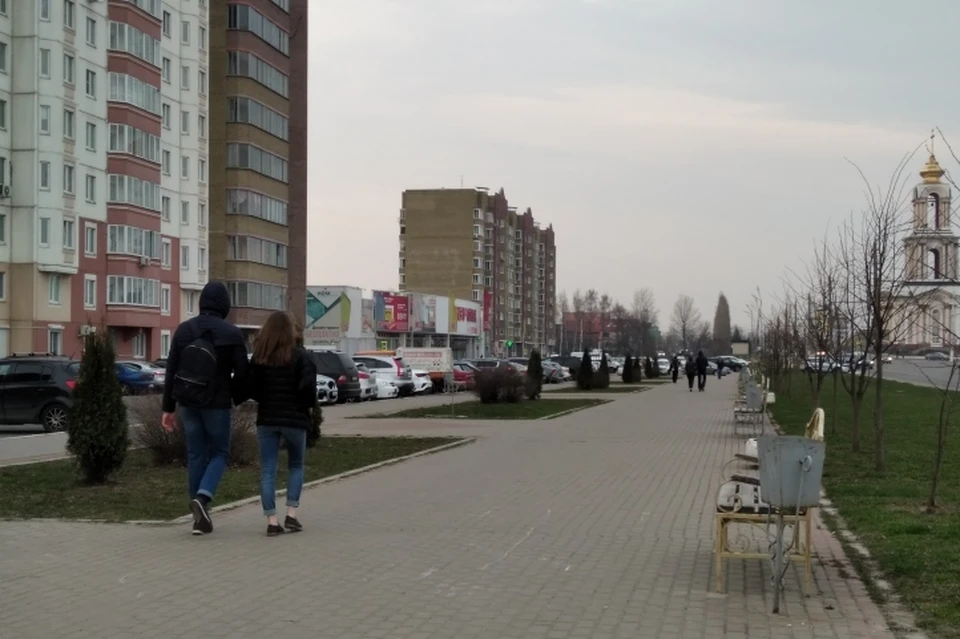 Больше всего свадеб 22 февраля было в Сеймском округе Курска
