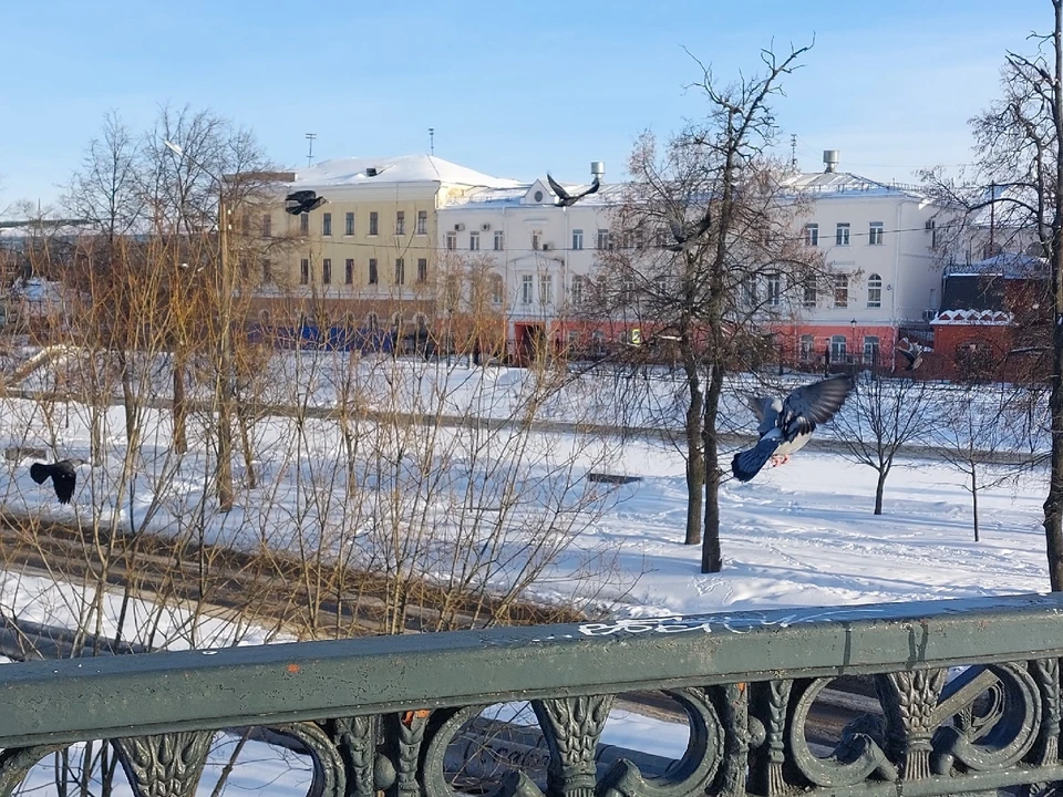 Публикуем подробный прогноз погоды на первую неделю весны