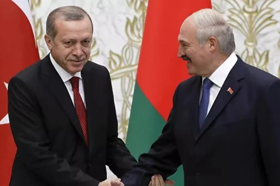 Лукашенко провел телефонные переговоры с Эрдоганом. Фото: © AFP 2022 / SERGEI GRITS