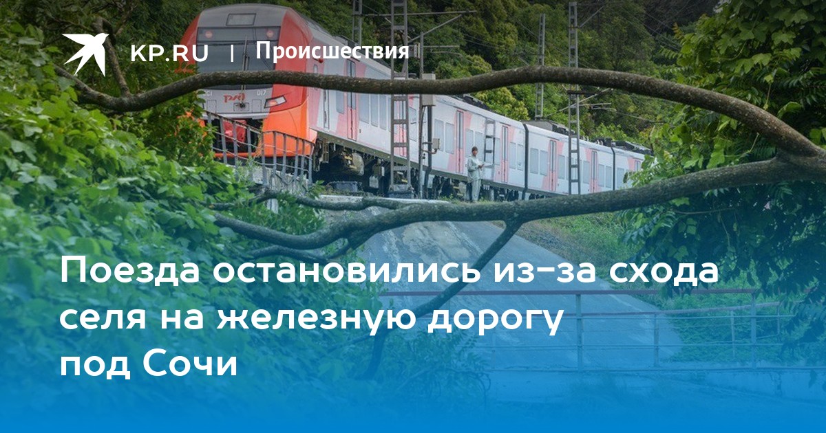 Прямой поезд мурманск адлер 2024