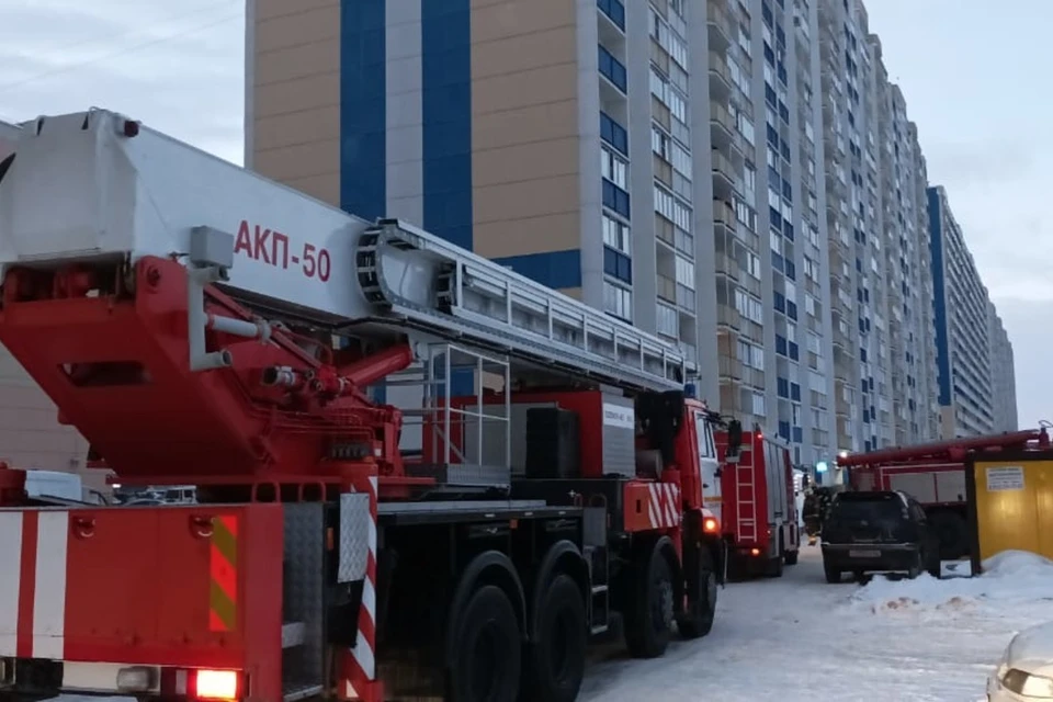 Пожарные спасли 4 человека. Фото: пресс-служба ГУ МЧС РФ по НСО