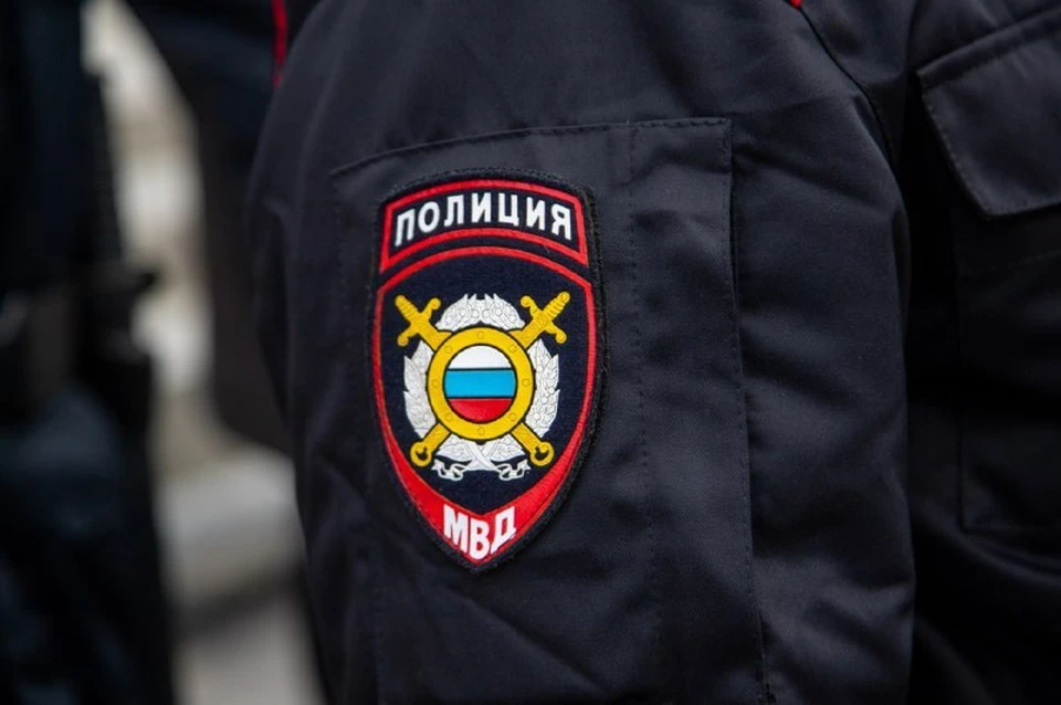 В Севастополе полицейские задержали подозреваемого в краже бытовой техники у матери. Фото: Полиция Севастополя/telegram
