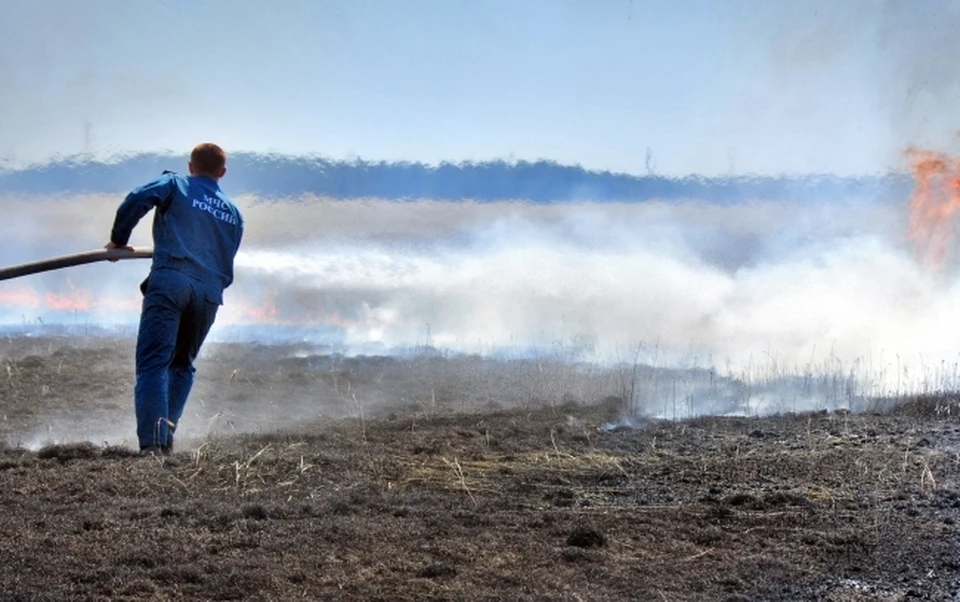 В Приморье за неделю сгорели больше 1700 гектаров леса