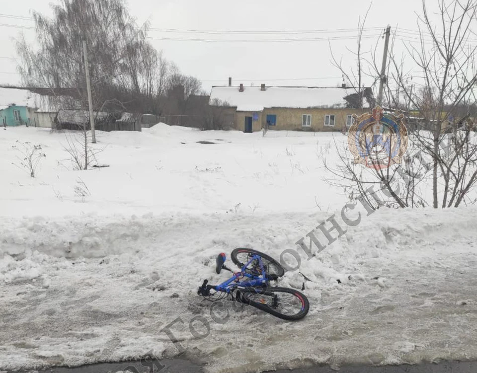 В Тульской области водитель сбил 9-летнего велосипедиста