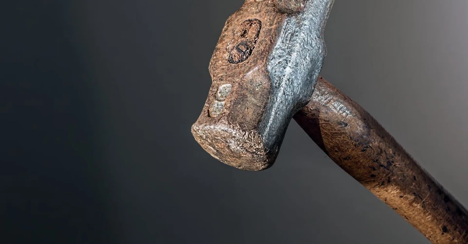 Фото: videos.pexels.com