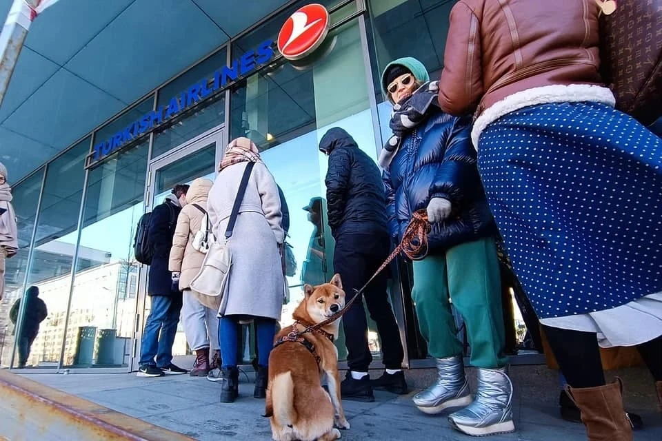 Turkish Airlines ограничила для россиян продажу билетов в третьи страны