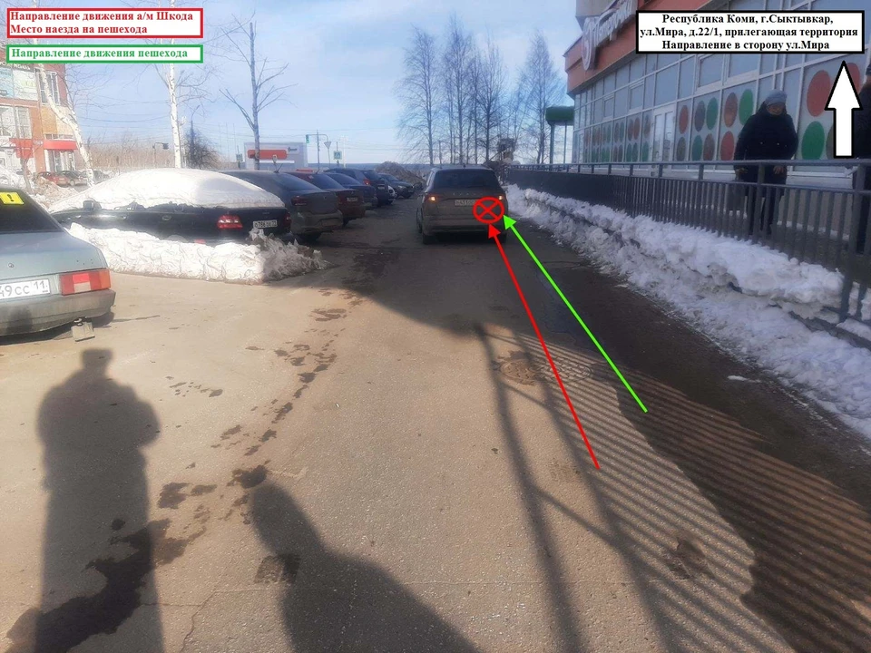 Фото: управление ГИБДД по Коми