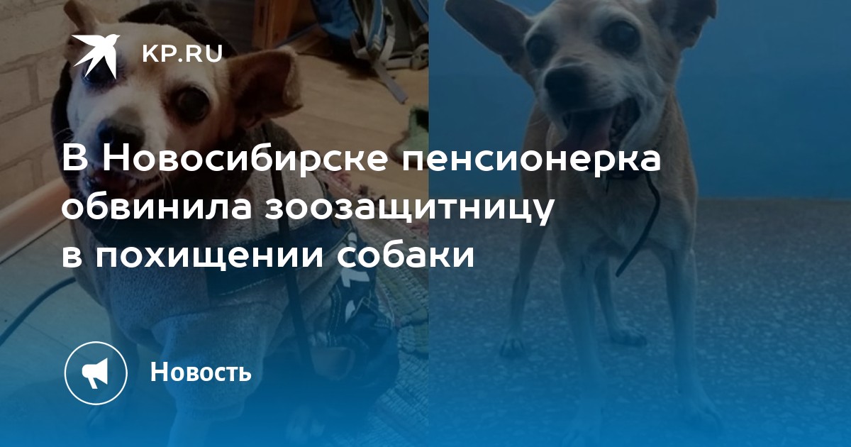 Продажа собак в новосибирске с фото недорого