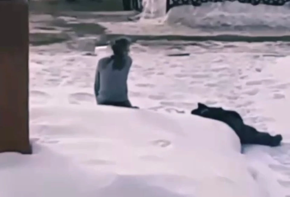 Фото: скриншот видео