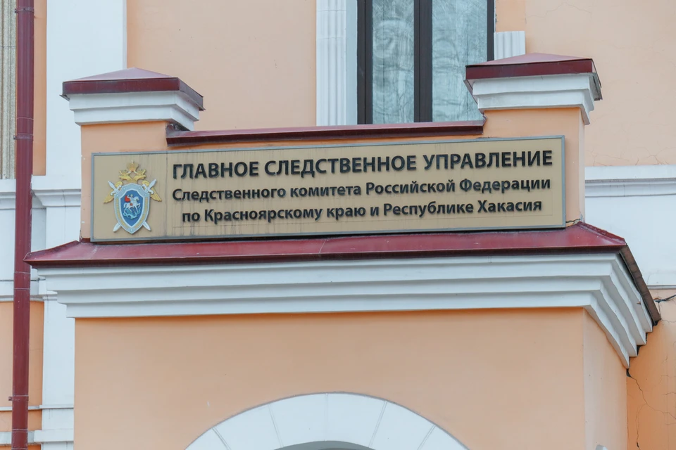 В Хакасии четырехлетняя девочка спасла младшего брата от убийства