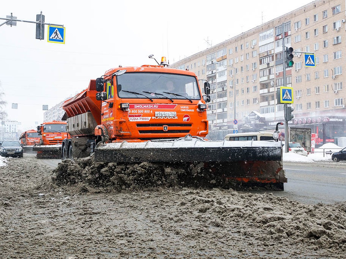 В Самаре назначен новый руководитель МП «Благоустройство» - KP.RU